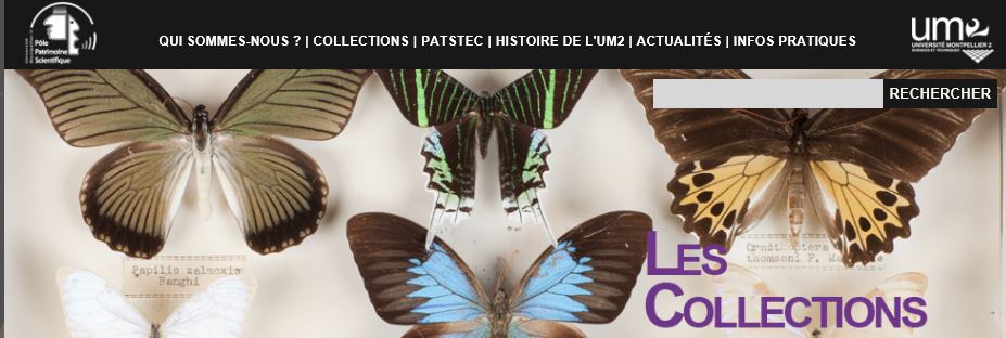 image absente du rpertoire